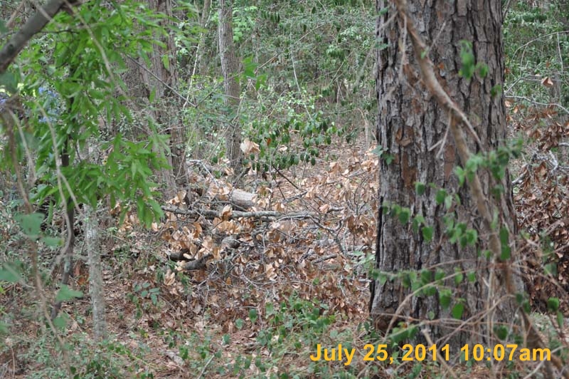 Entergy 141
